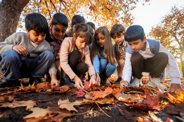 A group of children looking at autumn leaves, inspectin them closely